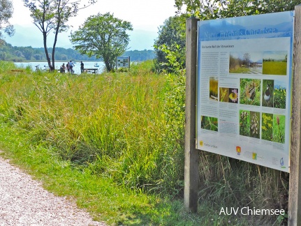 Infotafeln in Urfahrn