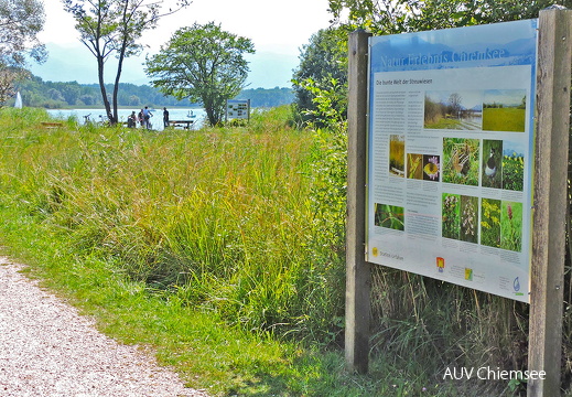 Infotafeln Urfahrn ` - display this album Infotafeln Urfahrn `