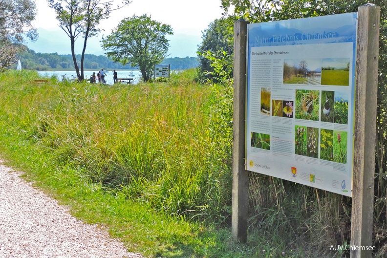 Informationstafeln am Fußweg in Urfahrn
Im Hintergrund sieht man die zweite Tafel am Uferspitz.
Urfahrn / 22. August 2015 / Foto: Johann Zimmermann
UF_Tafeln-Ansicht-JZ-150822-DSCN0847-1140pix.jpg