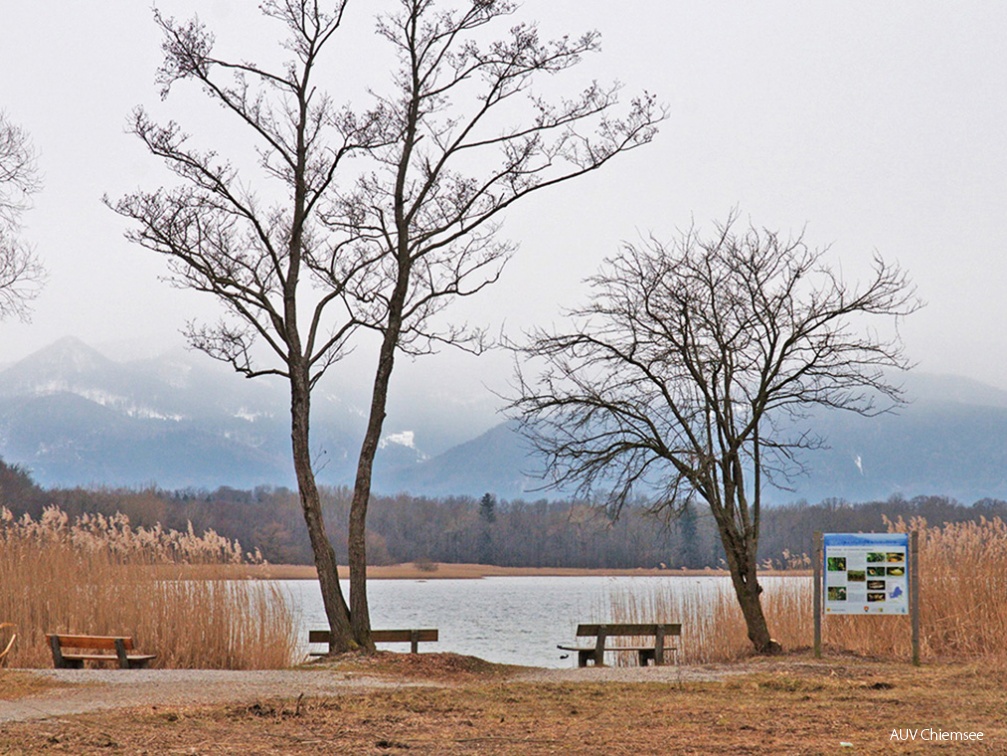 UF-1 Tafel am Uferspitz