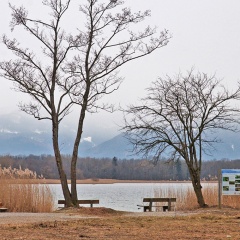 UF-1 Tafel am Uferspitz