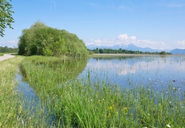 Chiemseeradweg