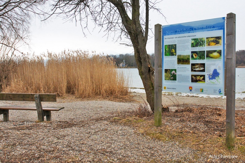 Informationstafel "Der Chiemsee – ein artenreicher Lebensraum"
Standort von Tafel UF-1 am Urfahrner Uferspitz.
Urfahrn / März 2010 / Foto: Johann Zimmermann
UF_Tafel-Umgebung-Tafel_UF-1_JZI_3525-1140pix.jpg