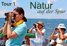 Erlebnisbootsfahrt an das Delta der Tiroler Achen - display this album Erlebnisbootsfahrt an das Delta der Tiroler Achen