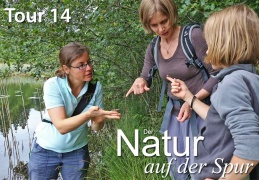 Durchs Libellenparadies - display this album Durchs Libellenparadies