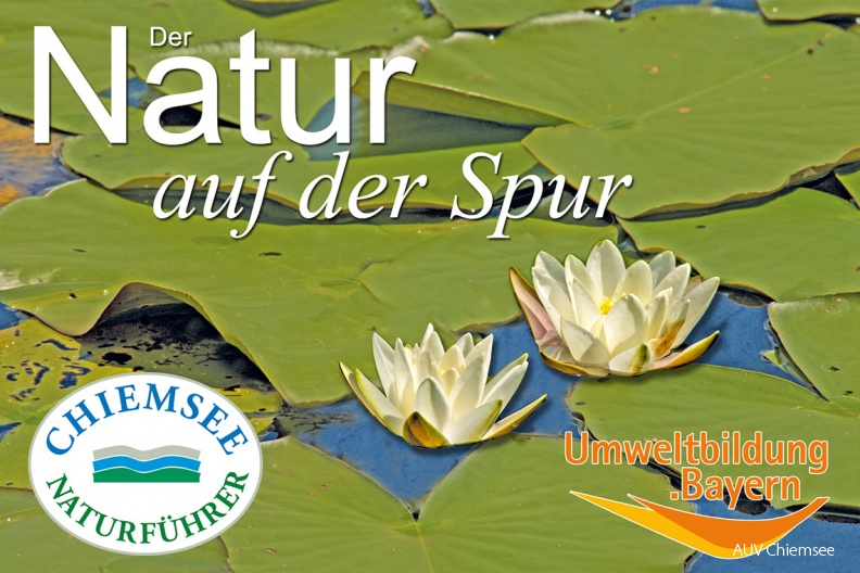 "Der Natur auf der Spur" mit den Chiemsee-Naturführern
Naturführungen rund um den Chiemsee haben wir für Sie bereit ...eine spannender als die andere.
Wir, die ausgebildeten Chiemsee-NaturführerInnen, warten auf Sie und ein Berg von interessanten Geräten – aber keine Angst – wir stopfen Sie nicht voll mit Wissen. Sie sind eingeladen die Themen selbst zu erforschen: mit Kescher und Sieb, Waschpfanne und Lupe, Mikroskop und Fernglas gehen wir auf Entdeckungsreise.
Erleben Sie den Chiemsee einmal ganz anders. Ganz nebenbei verstehen Sie Stück für Stück die Zusammenhänge, wie alles rund um uns funktioniert und vernetzt ist. Tauchen Sie ein!
Mit einem Klick! zur Webseite www.dernaturaufderspur.de
dnads-Infoseite-1140x760pix-2019_05_30.jpg