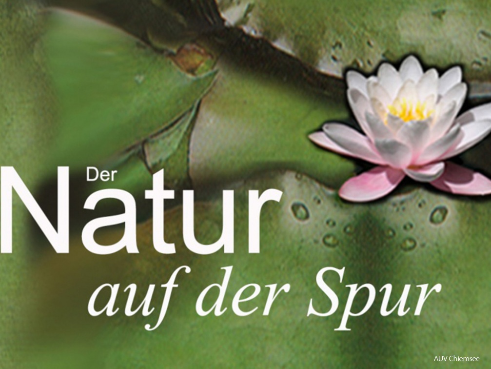 "Der Natur auf der Spur"