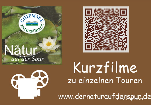 dnads - Kurzfilme