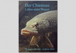 Der Chiemsee - Leben unter Wasser