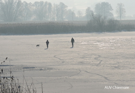 AktNatBeo-170133-jz-Eisgaenger JZI1625