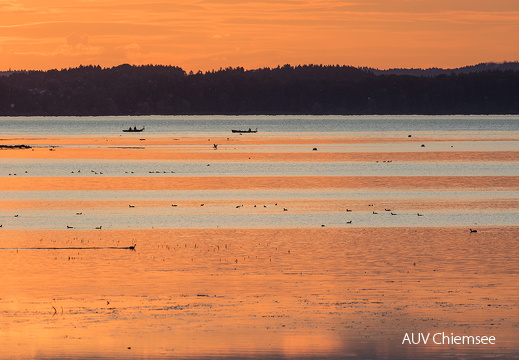 AktNatBeo-170703-ah-Abendstimmung Hirschauer Bucht