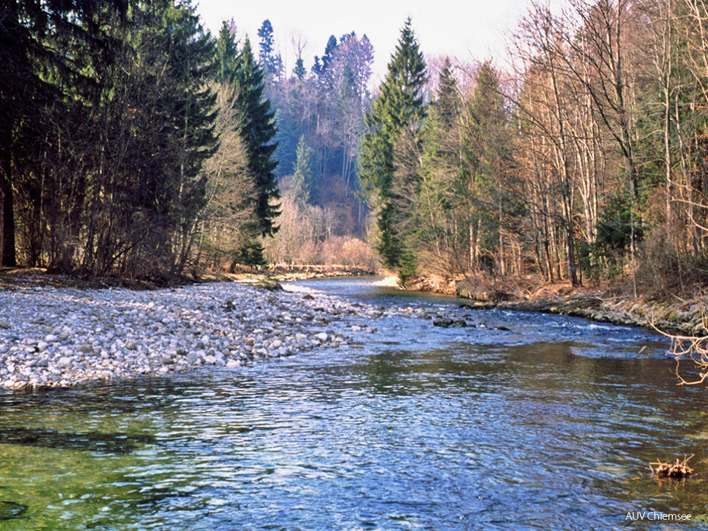 Naturnaher Mittellauf