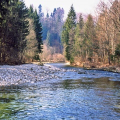 Naturnaher Mittellauf