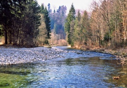 Naturnaher Mittellauf