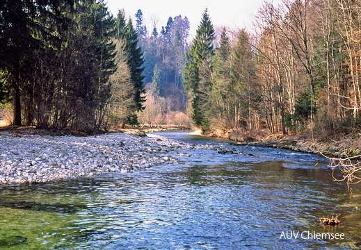 Naturnaher Mittellauf