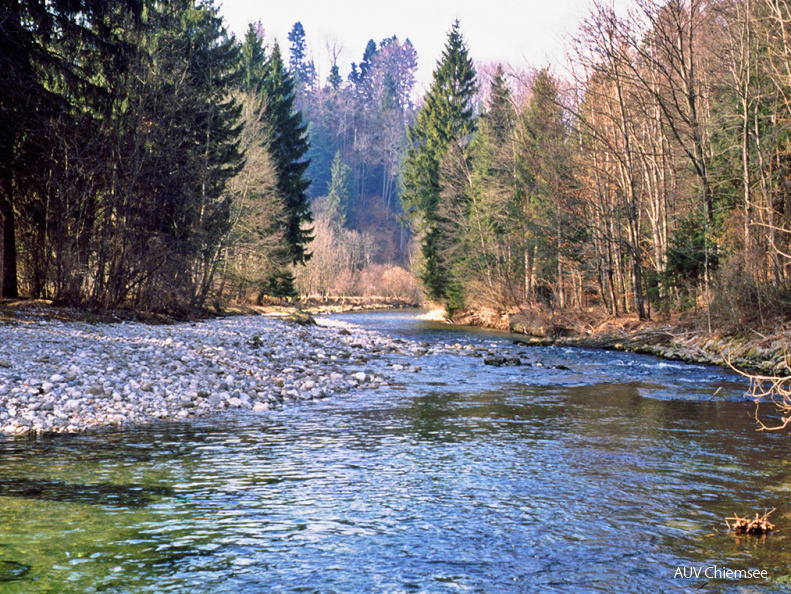 Naturnaher Mittellauf