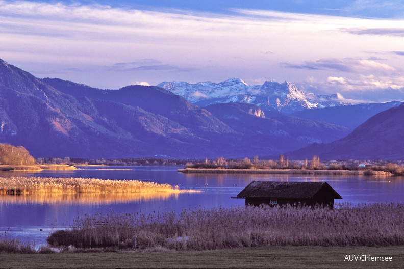 Schafwaschener Bucht
Die Schafwaschener Bucht ist einer der idyllischsten Winkel des Chiemsees und für Natur- und Vogelfreunde zu jeder Jahreszeit ein Anziehungspunkt.
Foto: Johann Zimmermann
PM - Station Hütte an der Prienmündung PM-1_Schafwaschener_Winkel(Zi)-1140pix.jpg
