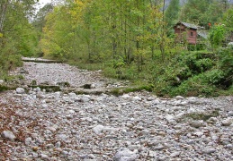 Trockenes Bachbett im Oberlauf