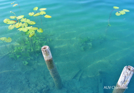 Klares Seewasser