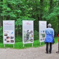 Naturinformationstafeln Herreninsel