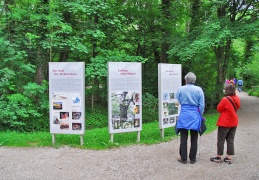 Naturinformationstafeln Herreninsel