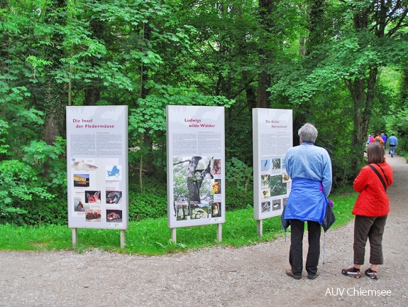 Naturinformationstafeln Herreninsel