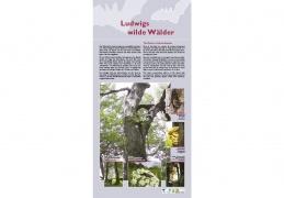 Tafel 2: "Ludwigs wilde Wälder"
