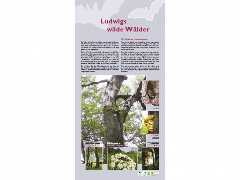 Tafel 2: "Ludwigs wilde Wälder"