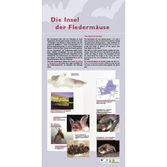 Tafel 1: "Die Insel der Fledermäuse"