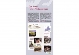 Tafel 1: "Die Insel der Fledermäuse"