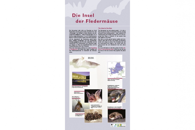 HI-AT-1_Insel_Fledermaeuse-1140pix.jpg