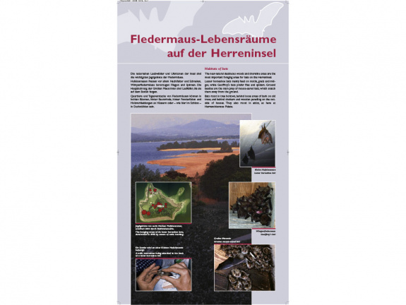 Tafel 5: Fledermaus-Lebensräume auf der Herreninsel