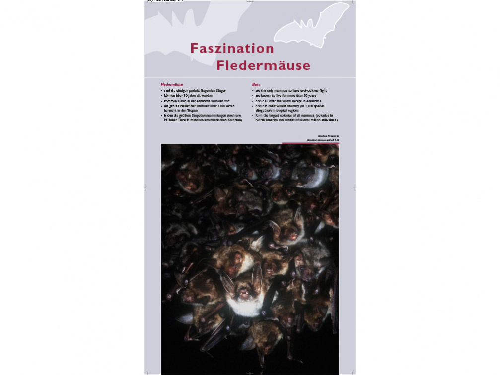 Tafel 1: Faszination Fledermäuse