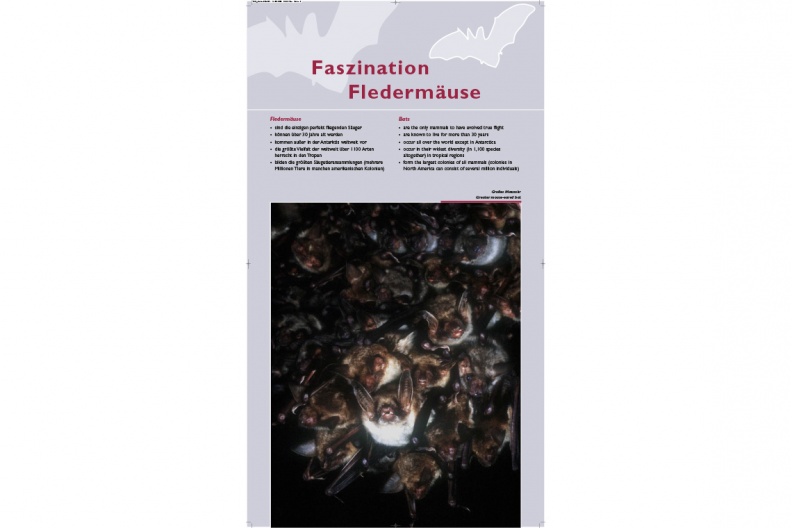 Tafel 1: "Faszination Fledermäuse"
Mit einem Klick! zum Download der Natur- & heimatkundlichen Informationstafeln
FA - Fledermausausstellung Herreninsel / Tafel: Bayerisches Landesamt für Umwelt FA-HI-Herreninsel-Fledermausausstellung-tafel-fa-1-1140pix.jpg