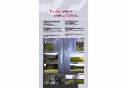 Tafel 6: Fledermäuse sind gefährdet