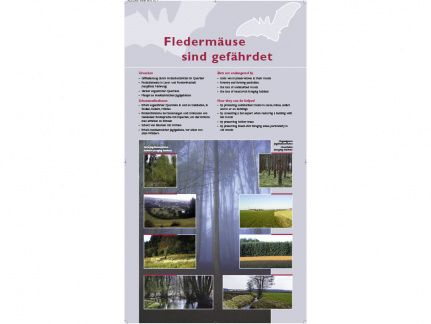 Tafel 6: Fledermäuse sind gefährdet