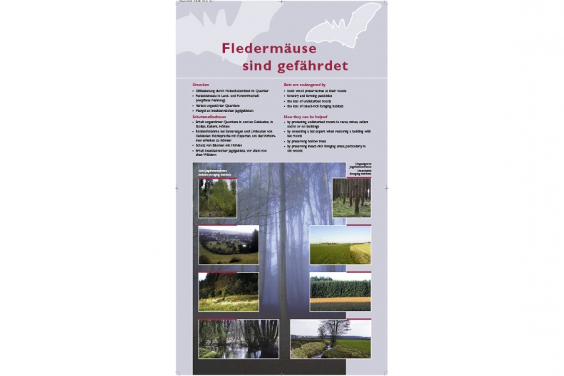 Tafel 6: "Fledermäuse sind gefährdet"
Mit einem Klick! zum Download der Natur- & heimatkundlichen Informationstafeln
FA - Fledermausausstellung Herreninsel / Tafel: Bayerisches Landesamt für Umwelt FA-HI-Herreninsel-Fledermausausstellung-tafel-fa-6-1140pix.jpg