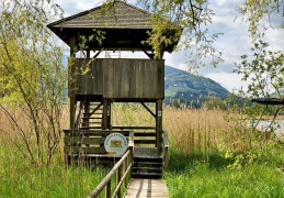 Turm im Irschener Winkel