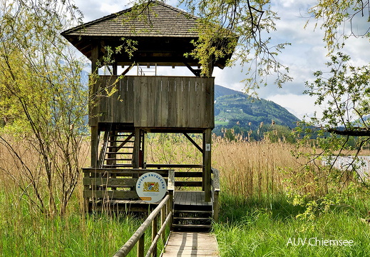 Turm im Irschener Winkel