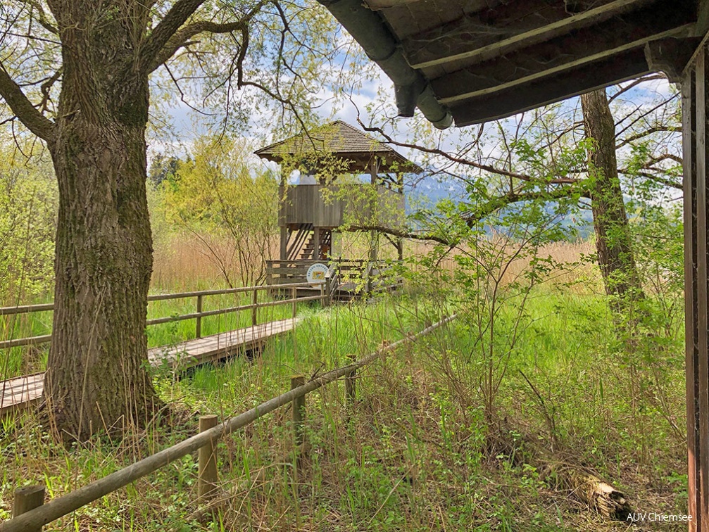 Turm im Irschener Winkel