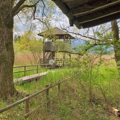 Turm im Irschener Winkel