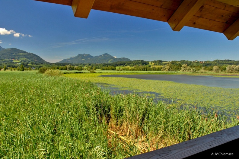 Turm-IW_Ausblick-Schwimmblattzone-JZ0297-1140pix.jpg