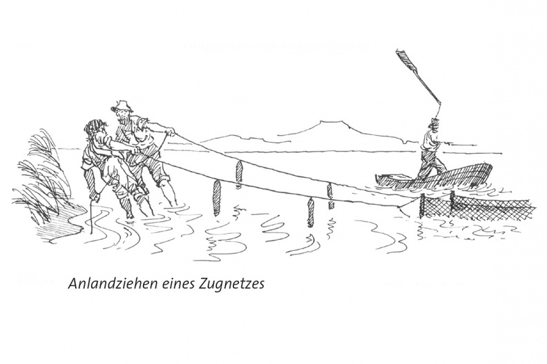 CH_1-Zugnetz_anlandziehen-screen-1140pix.jpg