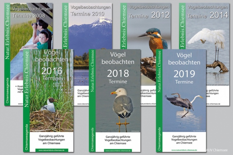 FotAlb-FB-Vogelbeobachtungen-Titelseiten-2019_06_20-1140pix.jpg