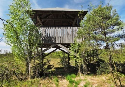 Aussichtsturm Burgham