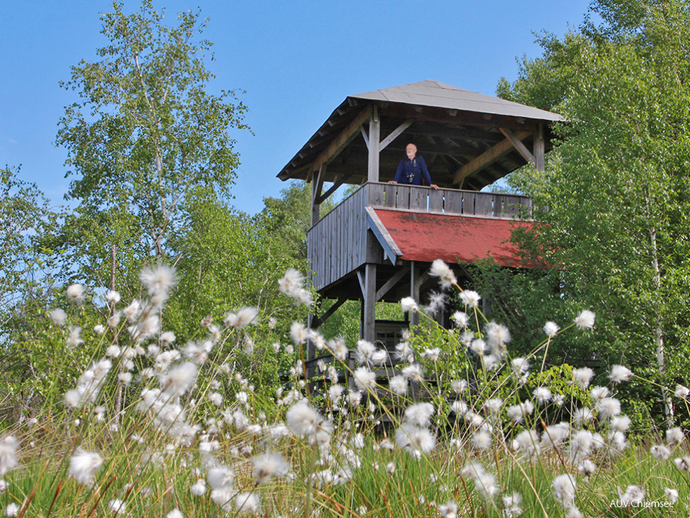 KF Turm Kendlmuehlfilze in Grassau-TI Grassau-S Niederbuchner-1140x760pix