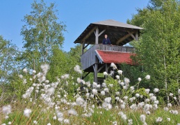 Turm Kendlmühlfilzen