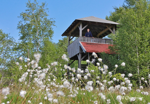 Turm Kendlmühlfilzen