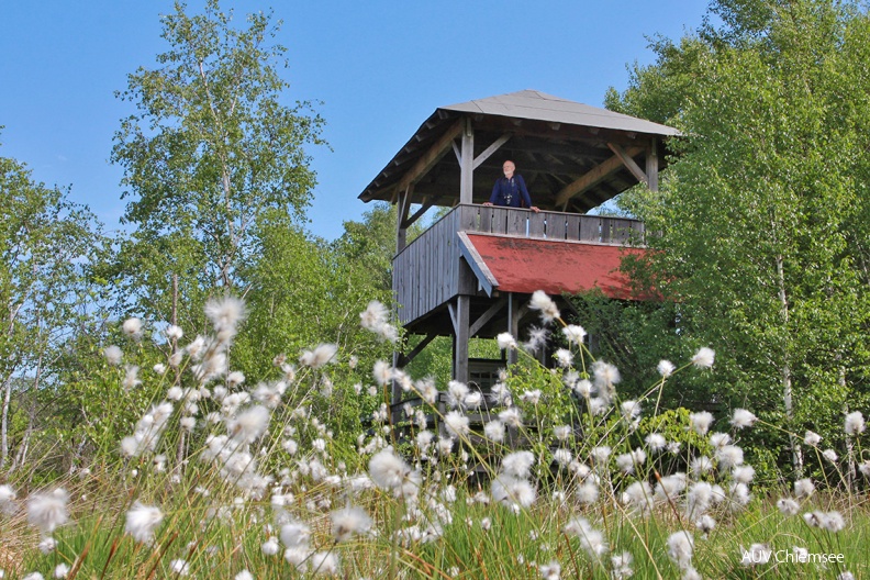 KF_Turm_Kendlmuehlfilze_in_Grassau-TI_Grassau-S_Niederbuchner-1140x760pix.jpg