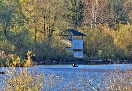 Beobachtungsturm Hirschauer Bucht - display this album Beobachtungsturm Hirschauer Bucht